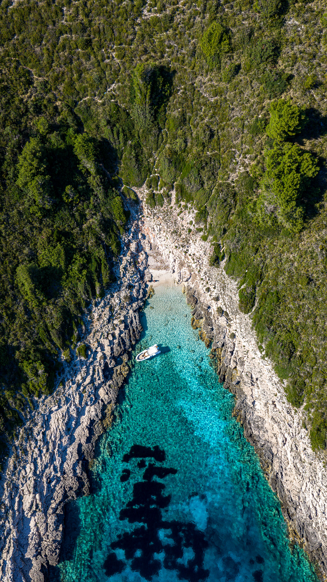 Hidden cove in the Pakleni Islands seen from the water
